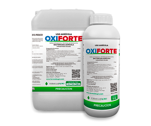 OXIFORTE-526x438