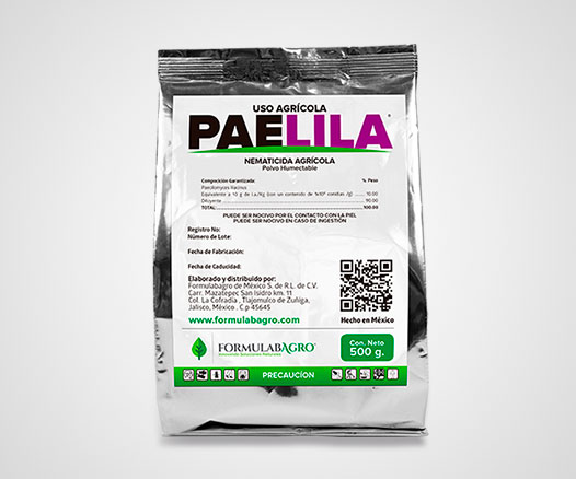 PAELILA-526x438