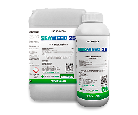 SEAWEED-25-526x438